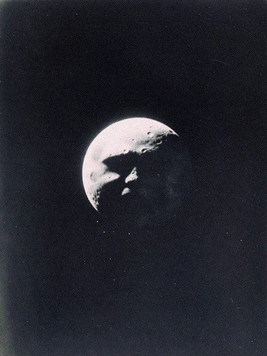 The Withered Crown - Exclusive Commercial License 1 of 1 (Cover Art)