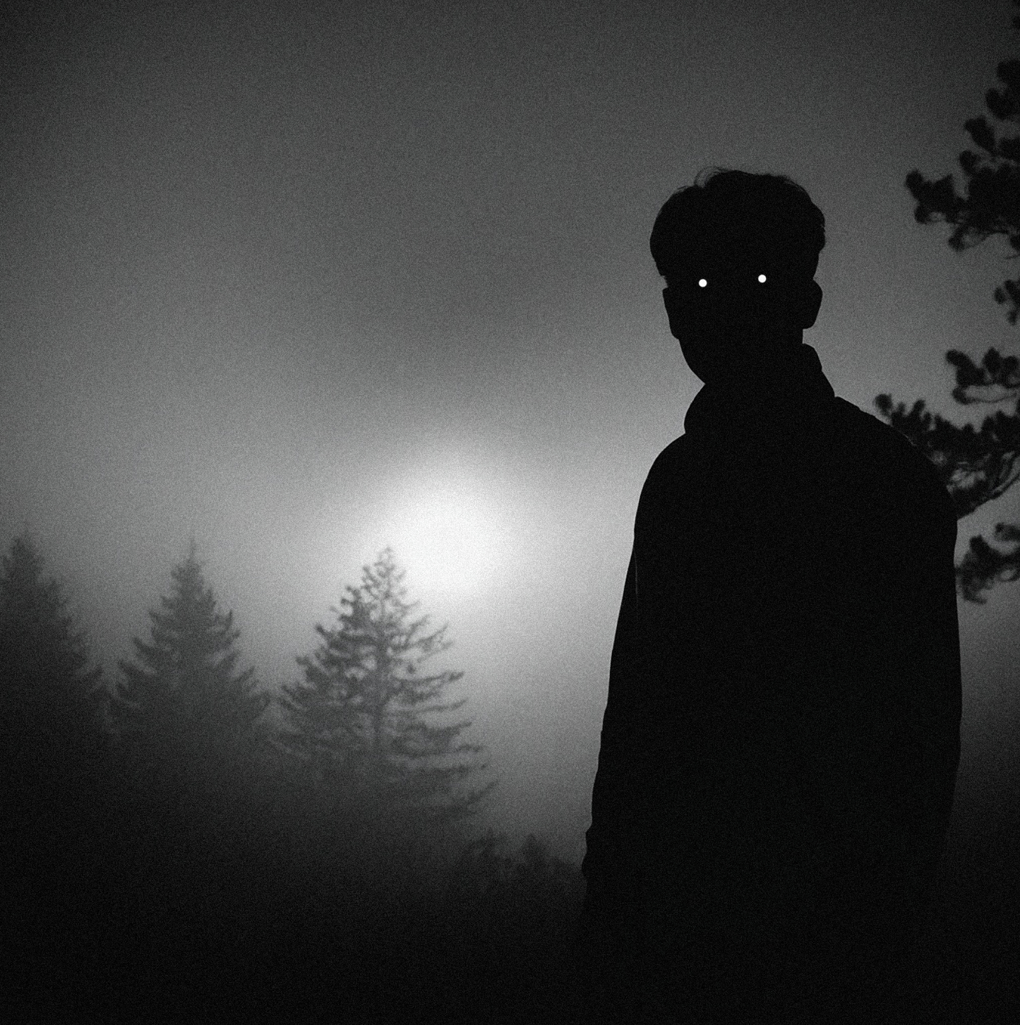 Siberia - Exclusive Commercial License 1 of 1 (Cover Art)