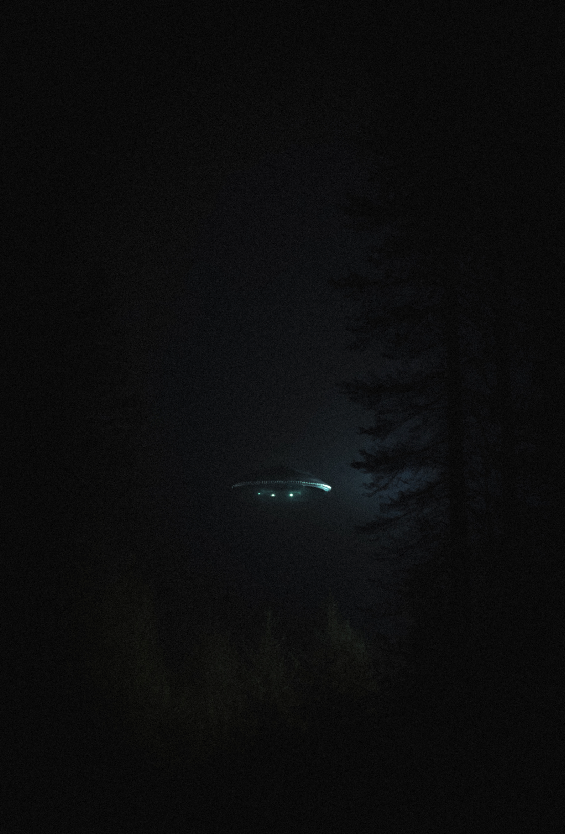 The Visitor - Licencia Comercial Exclusiva 1 de 1 (Arte de Portada)