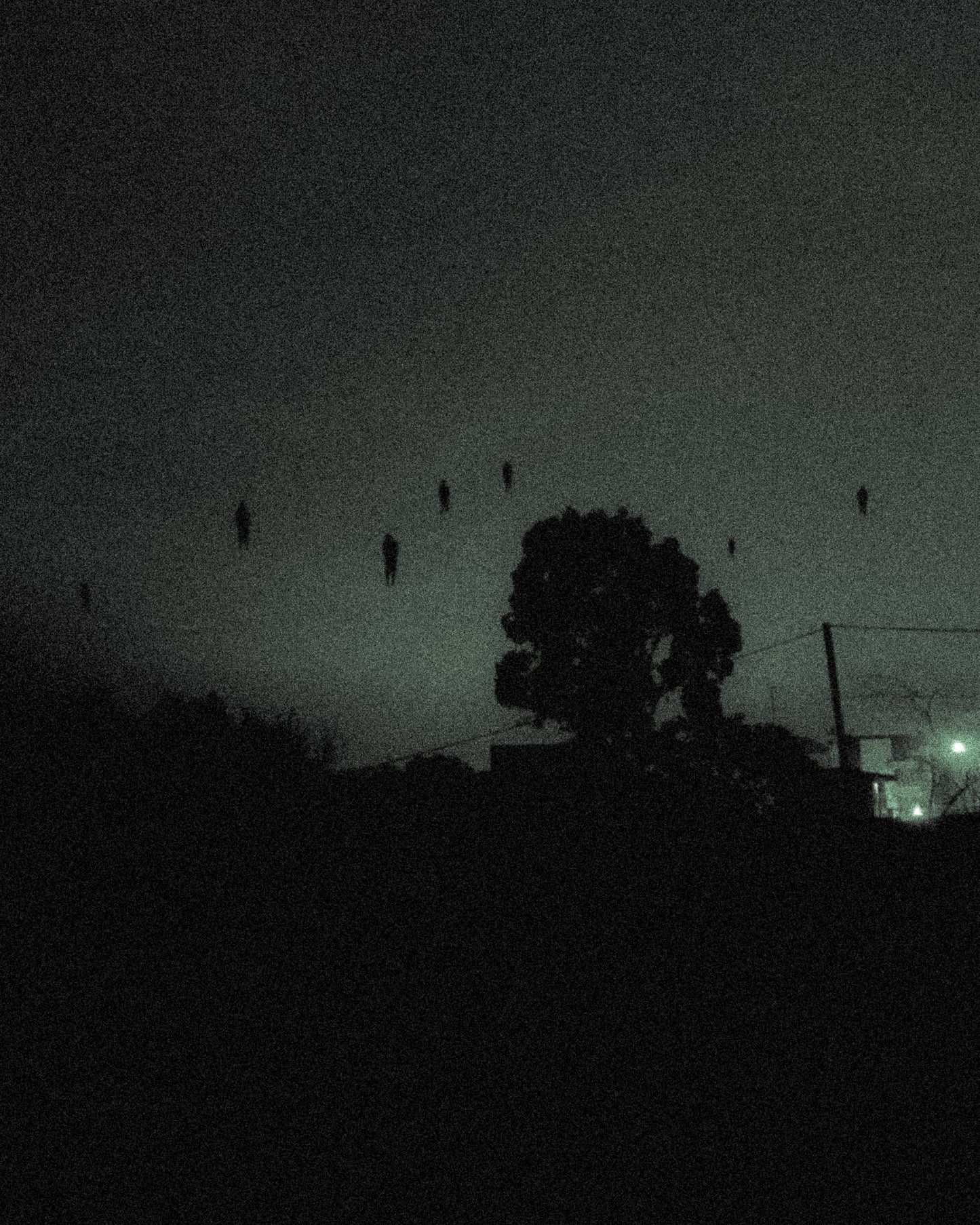 Dark Souls - Licencia Comercial Exclusiva 1 de 1 (Arte de Portada)