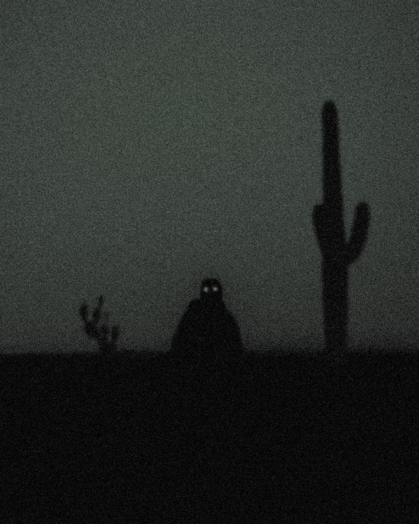 Cactus - Framed Poster | Desert Dark Art