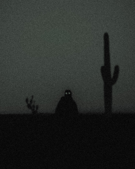 Shadow in the Desert - Exclusive Commercial License 1 of 1 (Cover Art)