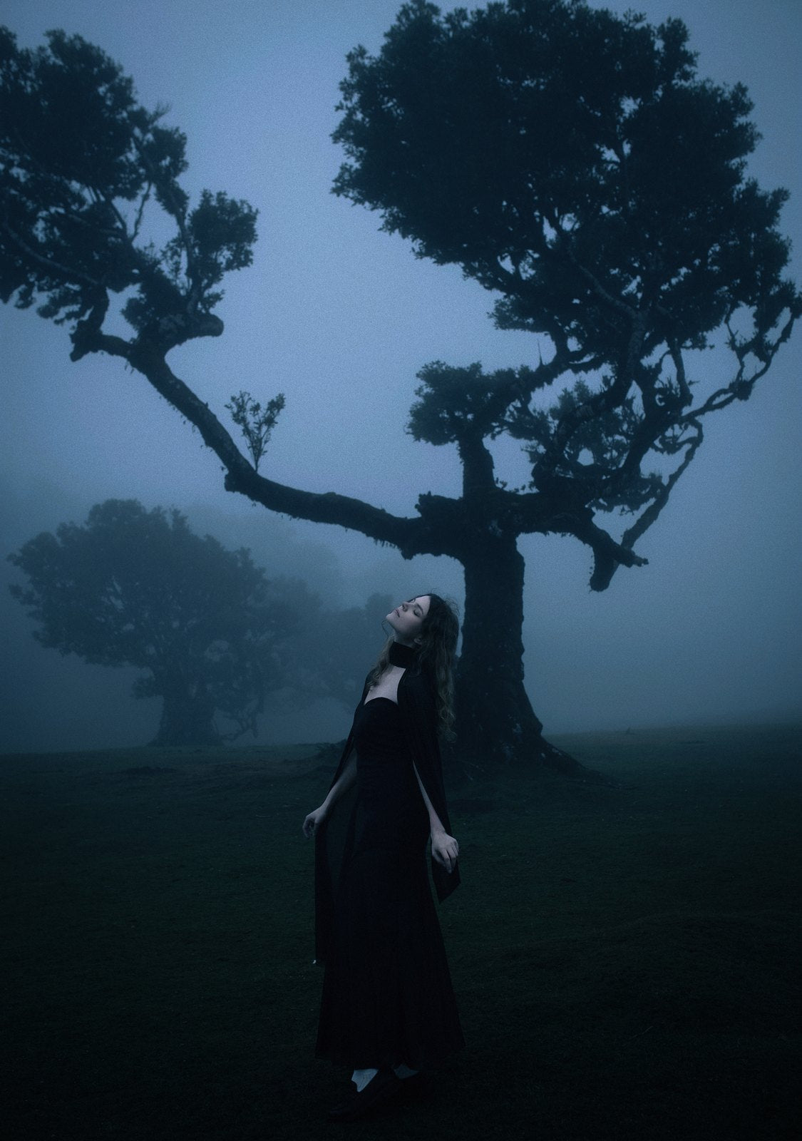 The Old Tree — album cover art by deepdarkmood