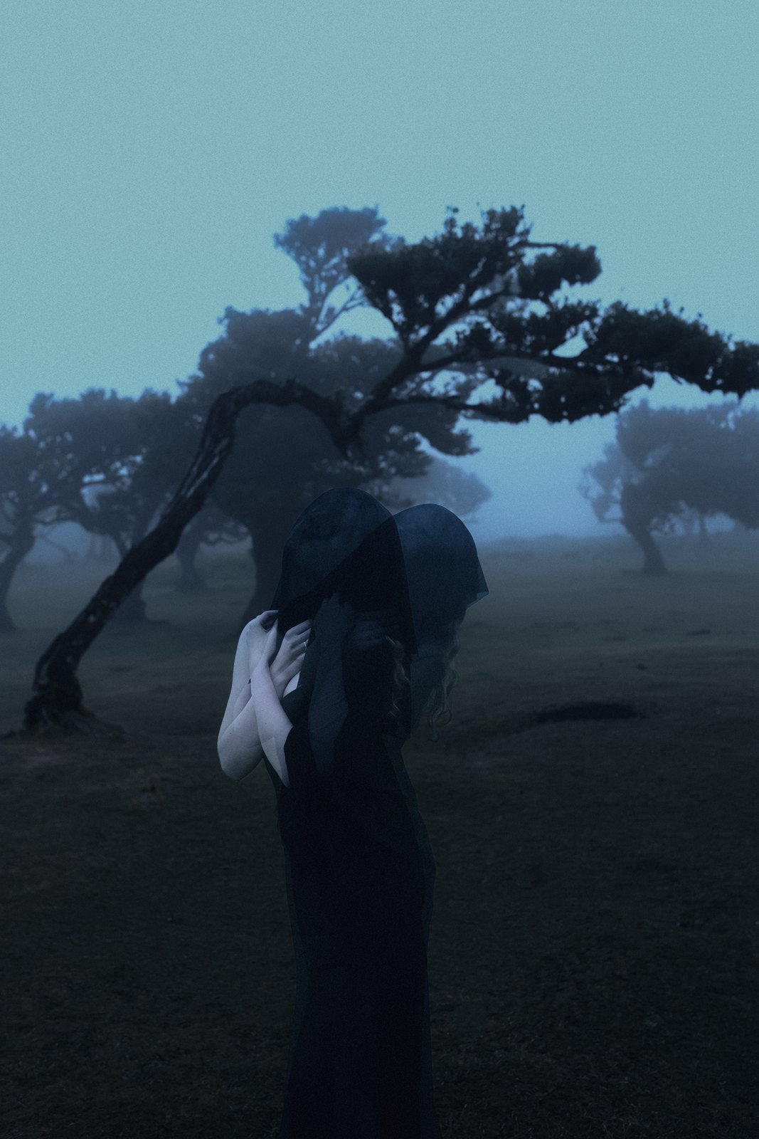Under the Tree — album cover art by deepdarkmood