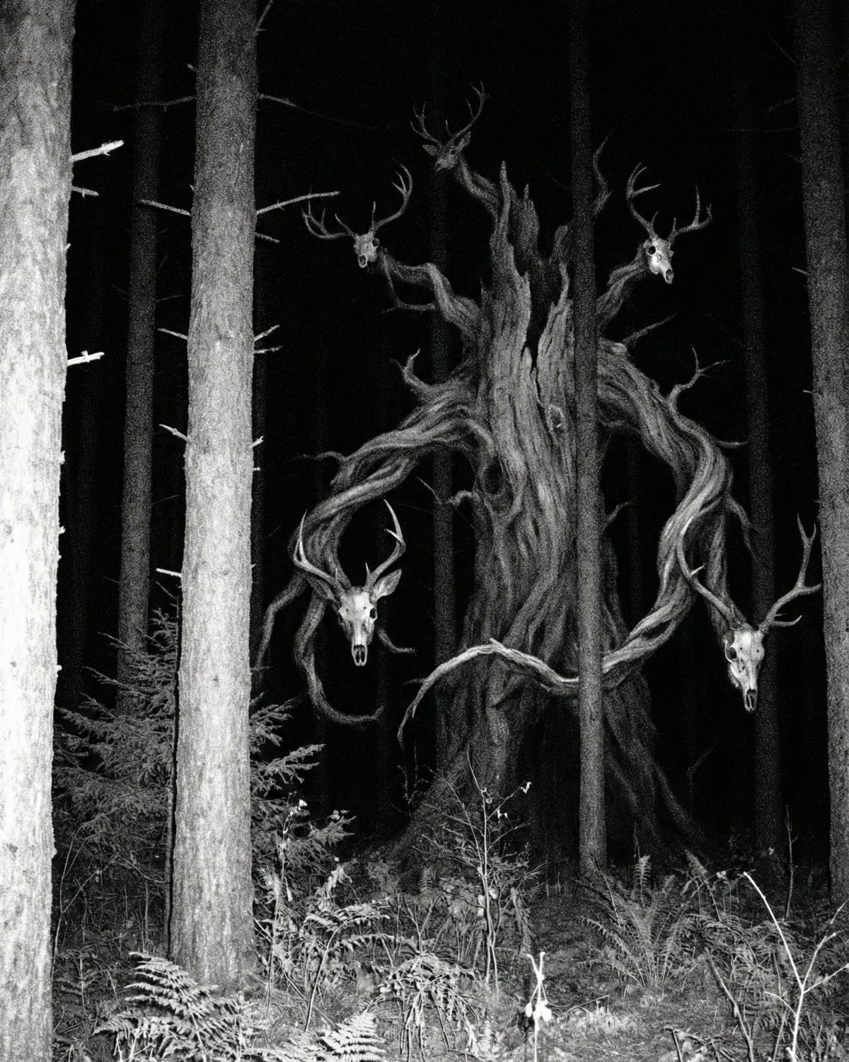 Deer Tree - Exclusive Commercial License 1 of 1 (Cover Art)