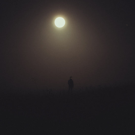 Moonlight - Framed Poster | Lunar Dark Art