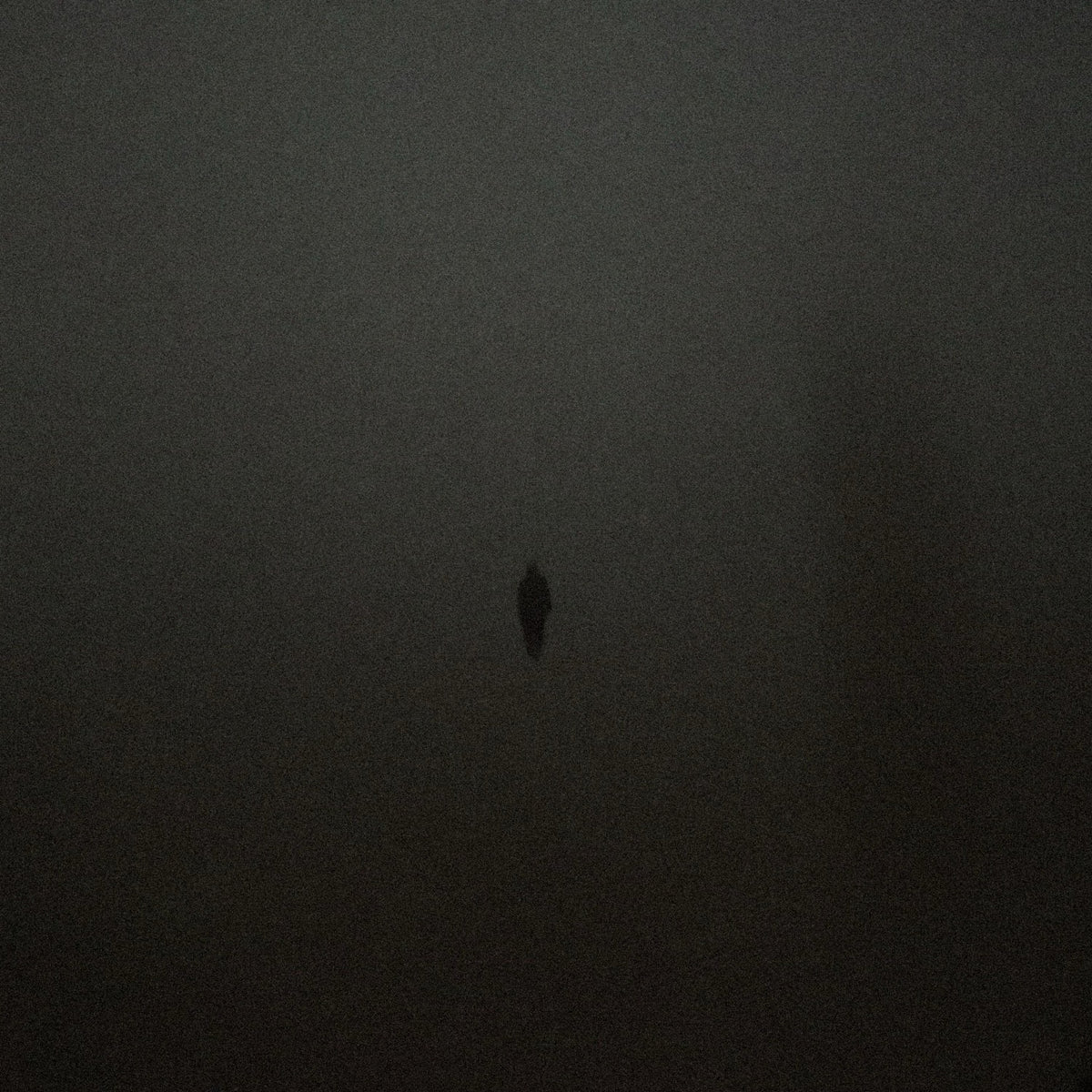 Adrift in the Fog - Exclusive Commercial License 1 of 1 (Cover Art)