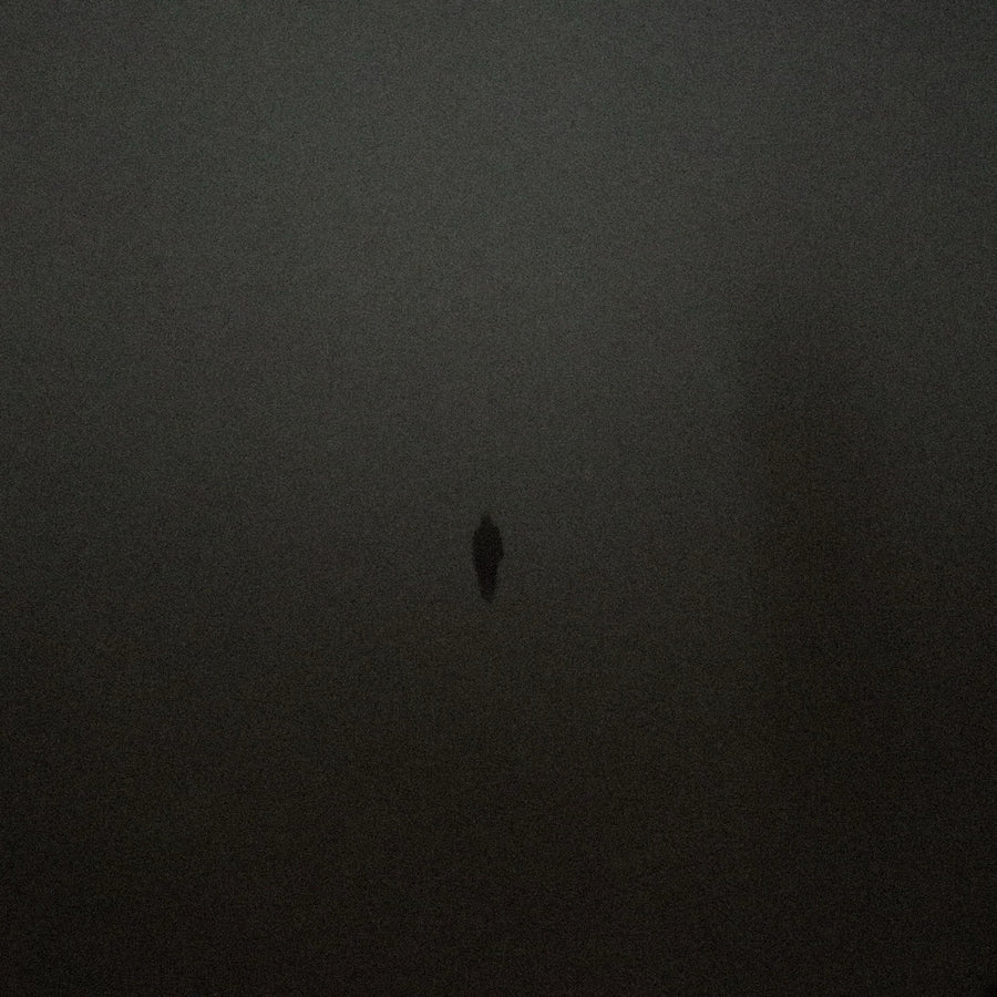 Adrift in the Fog - Exclusive Commercial License 1 of 1 (Cover Art)