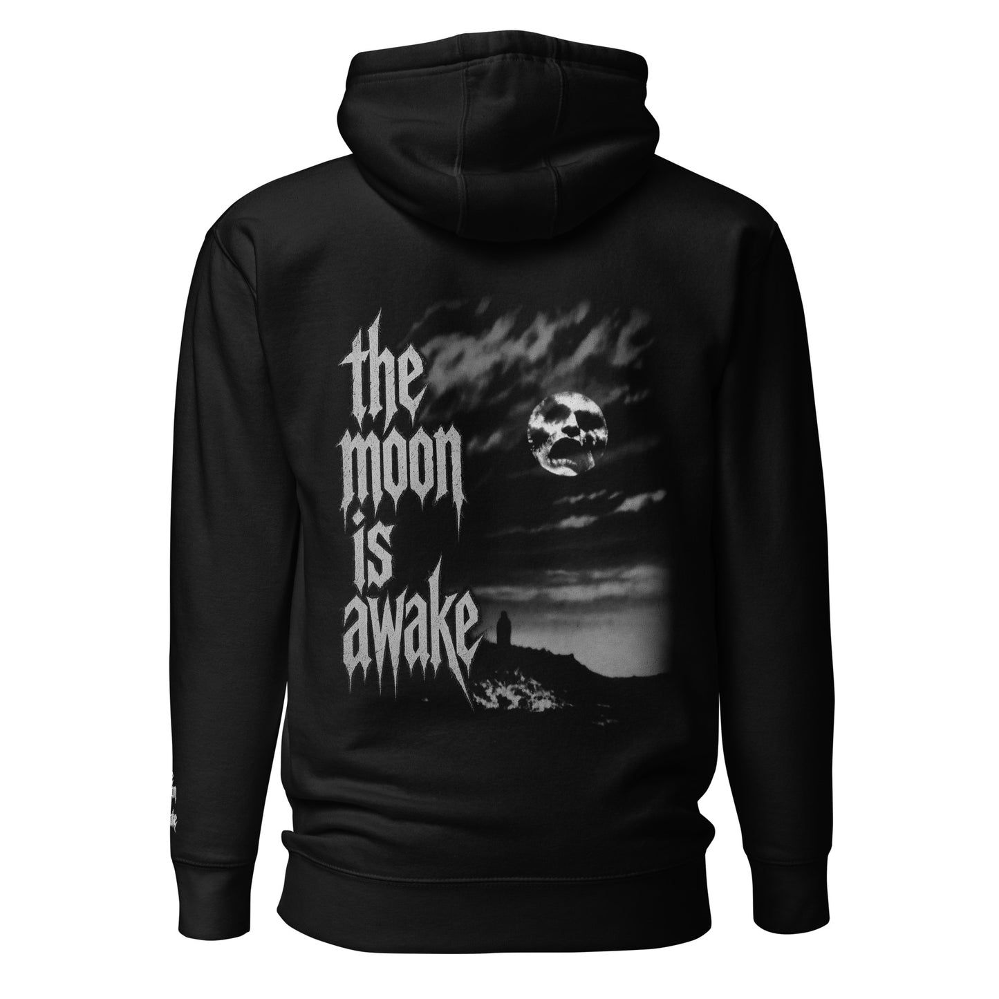 The Moon Is Awake heavyweight hoodie - back view