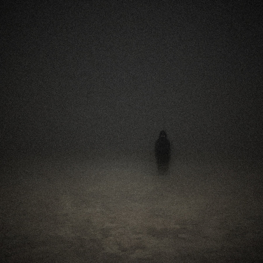 The Quiet Watcher - Exclusive Commercial License 1 of 1 (Cover Art)
